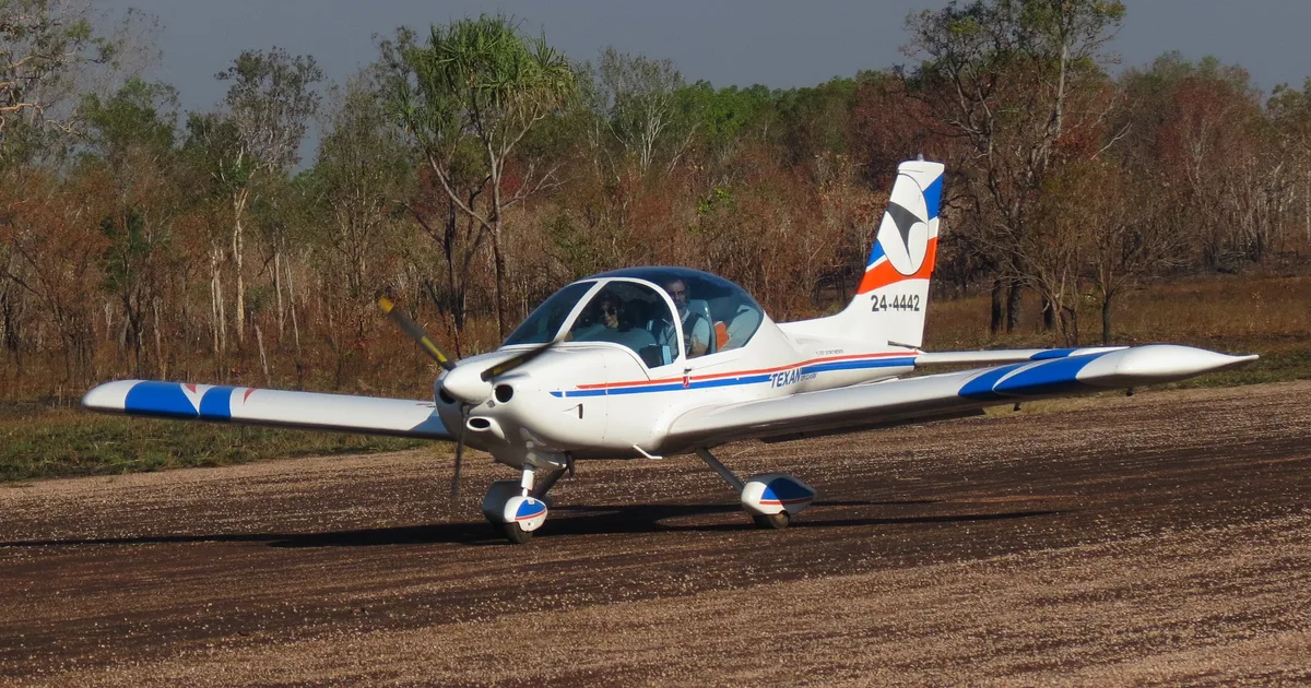 Fly Synthesis Texan